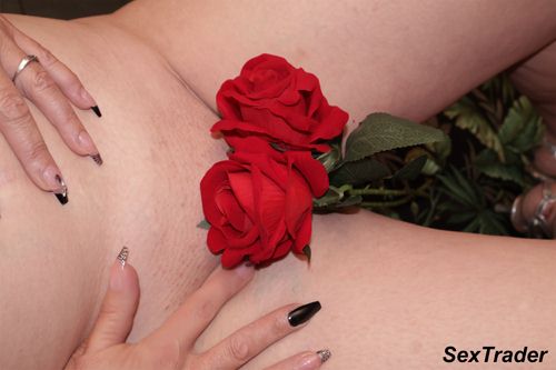 Shareds Nada in Alberton (Area) No:2