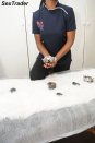 Escorts Dineo The Masseuse in Ruimsig No:2