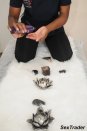 Escorts Dineo The Masseuse in Ruimsig No:4